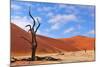 Lonely Tree Skeleton, Deadvlei, Namibia-Grobler du Preez-Mounted Photographic Print