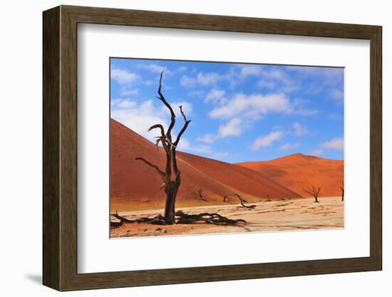 Lonely Tree Skeleton, Deadvlei, Namibia-Grobler du Preez-Framed Photographic Print