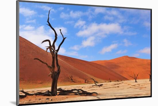 Lonely Tree Skeleton, Deadvlei, Namibia-Grobler du Preez-Mounted Photographic Print