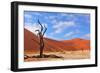 Lonely Tree Skeleton, Deadvlei, Namibia-Grobler du Preez-Framed Photographic Print