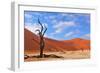 Lonely Tree Skeleton, Deadvlei, Namibia-Grobler du Preez-Framed Photographic Print