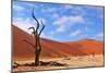 Lonely Tree Skeleton, Deadvlei, Namibia-Grobler du Preez-Mounted Photographic Print