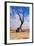 Lonely Tree Skeleton, Deadvlei, Namibia-Grobler du Preez-Framed Photographic Print