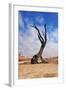 Lonely Tree Skeleton, Deadvlei, Namibia-Grobler du Preez-Framed Photographic Print