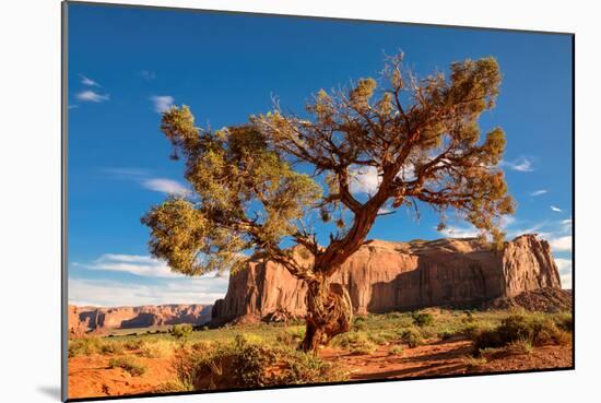 Lonely Tree Still a Life in Monument Valley, Utah-lucky-photographer-Mounted Photographic Print