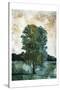 Lonely Tree-Milli Villa-Stretched Canvas