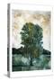 Lonely Tree-Milli Villa-Stretched Canvas