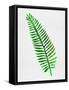 Lonely Tropical Leaf II-Jasmine Woods-Framed Stretched Canvas