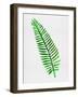 Lonely Tropical Leaf II-Jasmine Woods-Framed Art Print