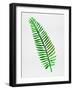 Lonely Tropical Leaf II-Jasmine Woods-Framed Art Print