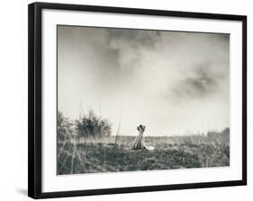 Lonely-Malgorzata Maj-Framed Photographic Print