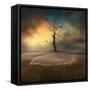 lonely-Piotr Krol (Bax)-Framed Stretched Canvas