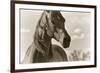 Lonesome Dove-Barry Hart-Framed Giclee Print