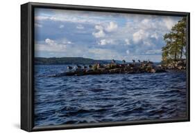 Lonesome landscape on Stora Le Lake, Sweden-Andrea Lang-Framed Photographic Print