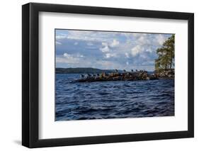 Lonesome landscape on Stora Le Lake, Sweden-Andrea Lang-Framed Photographic Print