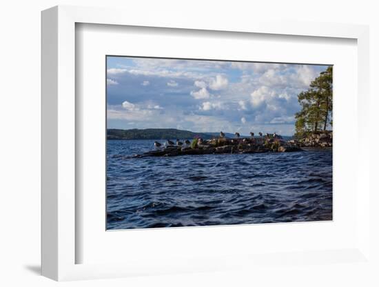 Lonesome landscape on Stora Le Lake, Sweden-Andrea Lang-Framed Photographic Print