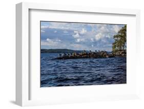 Lonesome landscape on Stora Le Lake, Sweden-Andrea Lang-Framed Photographic Print