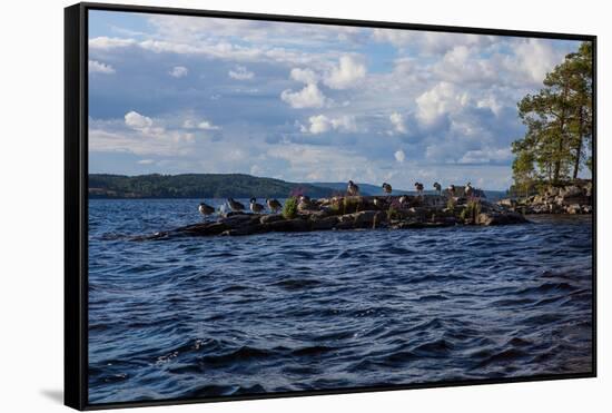 Lonesome landscape on Stora Le Lake, Sweden-Andrea Lang-Framed Stretched Canvas