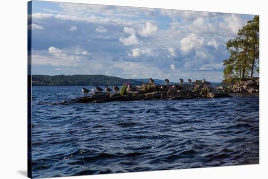 Lonesome landscape on Stora Le Lake, Sweden-Andrea Lang-Stretched Canvas