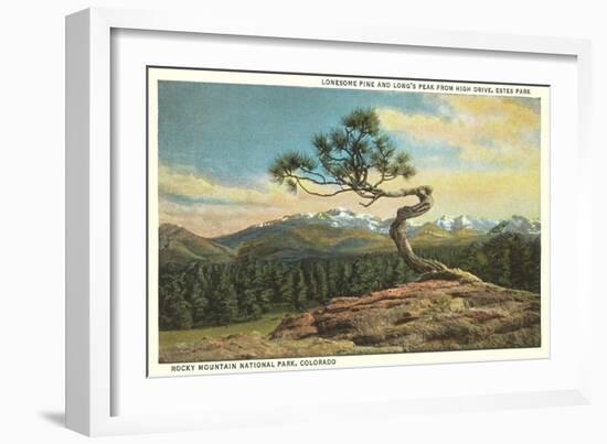 Lonesome Pine, Longs Peak, Colorado-null-Framed Art Print