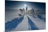 Lonesome Plain in Iced Up Winter Scenery, Triebtal, Vogtland, Saxony, Germany-Falk Hermann-Mounted Photographic Print