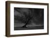 Lonesome Tree at a Lake-Jurgen Ulmer-Framed Photographic Print