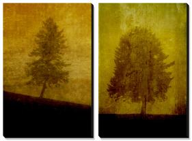 Lonesome Trees on Textured Yellow-Susan Bein-Stretched Canvas