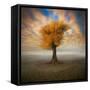 Lonesome-Piotr Krol-Framed Stretched Canvas