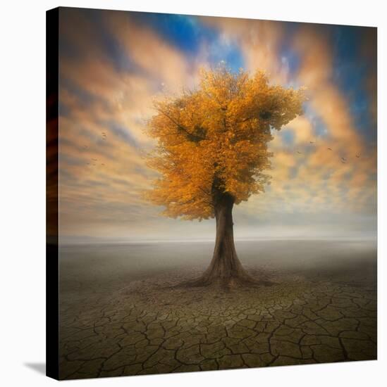 Lonesome-Piotr Krol-Stretched Canvas