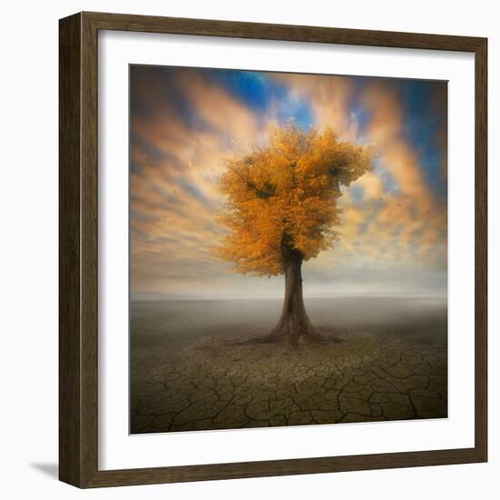 Lonesome-Piotr Krol-Framed Photographic Print