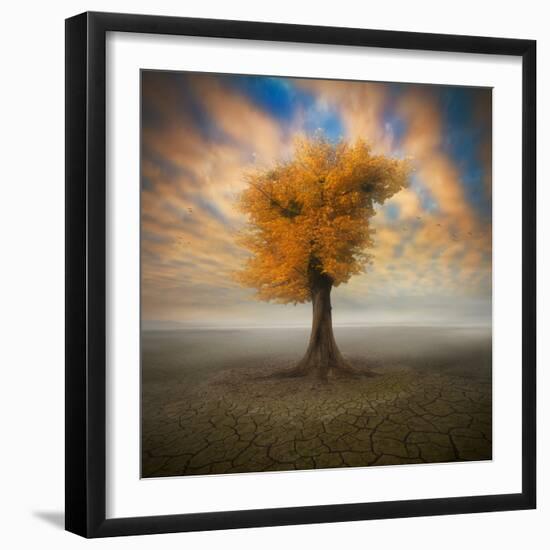 Lonesome-Piotr Krol-Framed Photographic Print