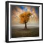 Lonesome-Piotr Krol-Framed Photographic Print