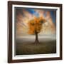 Lonesome-Piotr Krol-Framed Photographic Print