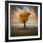 Lonesome-Piotr Krol-Framed Photographic Print