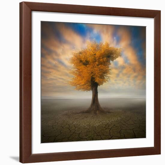 Lonesome-Piotr Krol-Framed Photographic Print