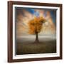 Lonesome-Piotr Krol-Framed Photographic Print