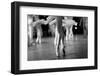 Long and Lean Ballet Dancers Legs-Anna Jurkovska-Framed Photographic Print