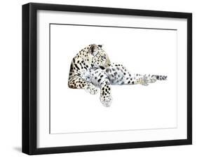 Long (Arabian Leopard), 2015-Mark Adlington-Framed Giclee Print