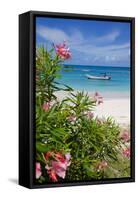Long Bay and Beach, Antigua, Leeward Islands, West Indies, Caribbean, Central America-Frank Fell-Framed Stretched Canvas