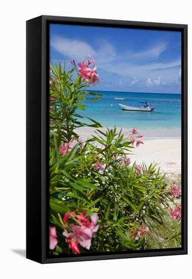 Long Bay and Beach, Antigua, Leeward Islands, West Indies, Caribbean, Central America-Frank Fell-Framed Stretched Canvas