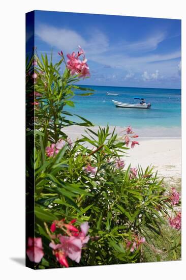 Long Bay and Beach, Antigua, Leeward Islands, West Indies, Caribbean, Central America-Frank Fell-Stretched Canvas