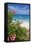 Long Bay and Beach, Antigua, Leeward Islands, West Indies, Caribbean, Central America-Frank Fell-Framed Stretched Canvas