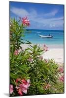 Long Bay and Beach, Antigua, Leeward Islands, West Indies, Caribbean, Central America-Frank Fell-Mounted Photographic Print