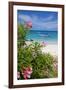 Long Bay and Beach, Antigua, Leeward Islands, West Indies, Caribbean, Central America-Frank Fell-Framed Photographic Print