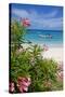 Long Bay and Beach, Antigua, Leeward Islands, West Indies, Caribbean, Central America-Frank Fell-Stretched Canvas