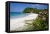 Long Bay and Beach, Antigua, Leeward Islands, West Indies, Caribbean, Central America-Frank Fell-Framed Stretched Canvas