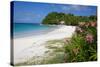 Long Bay and Beach, Antigua, Leeward Islands, West Indies, Caribbean, Central America-Frank Fell-Stretched Canvas