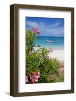 Long Bay and Beach, Antigua, Leeward Islands, West Indies, Caribbean, Central America-Frank Fell-Framed Photographic Print