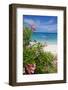 Long Bay and Beach, Antigua, Leeward Islands, West Indies, Caribbean, Central America-Frank Fell-Framed Photographic Print