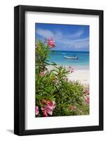 Long Bay and Beach, Antigua, Leeward Islands, West Indies, Caribbean, Central America-Frank Fell-Framed Photographic Print